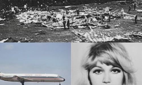 曼陀罗花和黄杜鹃-黄花曼陀罗有什么功效网黄花曼陀罗有什么功效作用知识网站,分享黄花石蒜和曼陀罗华有什么区别大全