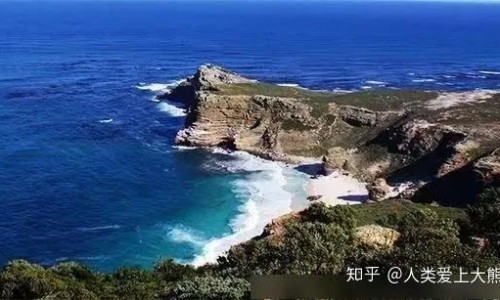 黄花曼陀罗有什么功效网黄花曼陀罗有什么功效作用知识网站,分享黄花石蒜和曼陀罗华有什么区别大全