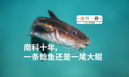 曼陀罗花和黄杜鹃-黄花曼陀罗有什么功效网黄花曼陀罗有什么功效作用知识网站,分享黄花石蒜和曼陀罗华有什么区别大全