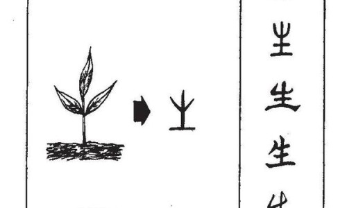 黄花石蒜和曼陀罗华有什么区别-黄花曼陀罗有什么功效网黄花曼陀罗有什么功效作用知识网站,分享黄花石蒜和曼陀罗华有什么区别大全