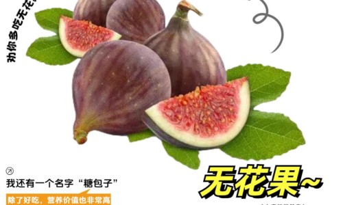 曼陀罗花和黄杜鹃-黄花曼陀罗有什么功效网黄花曼陀罗有什么功效作用知识网站,分享黄花石蒜和曼陀罗华有什么区别大全